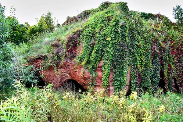 Una colina de arenisca roja cubierta de hierba verde y plantas colgantes —  Fotos de Stock