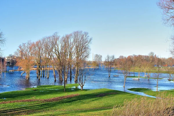 Lucavsala Recreation Park, lawn and trees in the water.
