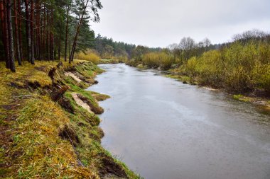 Kuzen doğa yolunu satın alıyor..