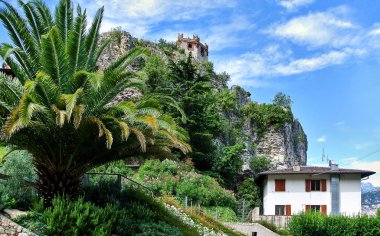 Yeşil palmiye ağaçları, çalılar ve çiçekler, beyaz bir bina..