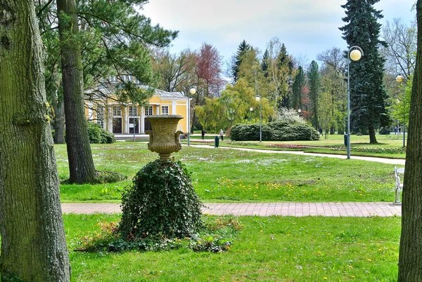 Antik utcai virágváza a parkban. — Stock Fotó