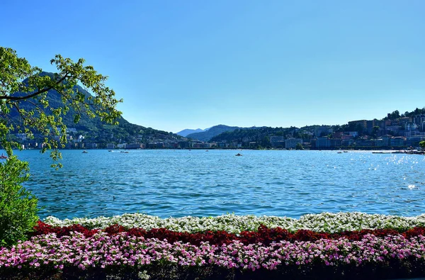 Lugano Svizzera Passeggiata Sulle Rive Del Lago Lugano Aiuole Con — Foto Stock