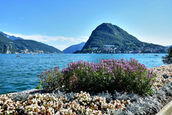 Lugano, İsviçre - Lugano Gölü kıyısında gezinti, beyaz ve mor çiçekli çiçek yatakları, arka planda Alp dağları, yaz öğleden sonra mavi gökyüzü.