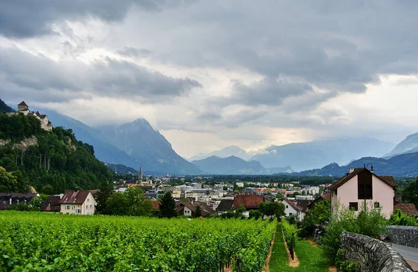 Vaduz, Lihtenştayn - Sarmaşık tarlaları, şehrin arka planına karşı yeşil bitkiler ve ağaçlı Alp dağları, kayalarda bir kale, gökte gri bulutlar görülebilir.