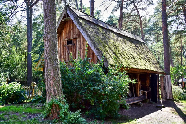 Lielupe / Jurmala, Letonya - Jurmala açık hava müzesi, yosunlarla kaplı eski bir ahşap ev, ağaçların arasında bir ormanda, yaz aylarında.