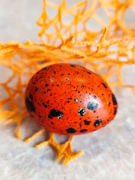 Religious Easter holiday, a brightly orange motley quail egg, lies on an orange decorative net.