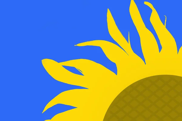 在蓝色背景上的向日葵花的黄色轮廓 — 图库照片