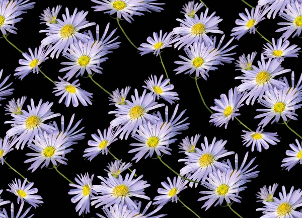 Naadloos Bloemenpatroon Een Zwarte Achtergrond — Stockfoto
