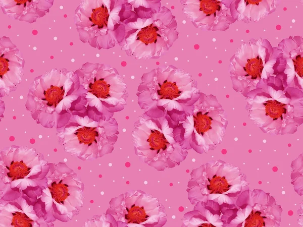 Naadloos Bloemenpatroon Met Delicate Roze Pioenrozen — Stockfoto