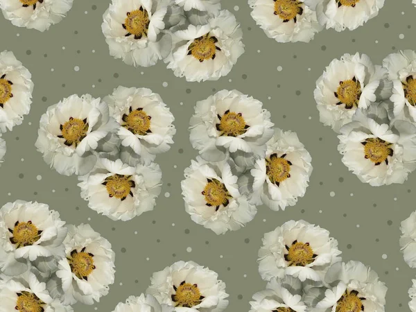Нежный Цветочный Узор Белыми Пионами Сером Фоне — стоковое фото
