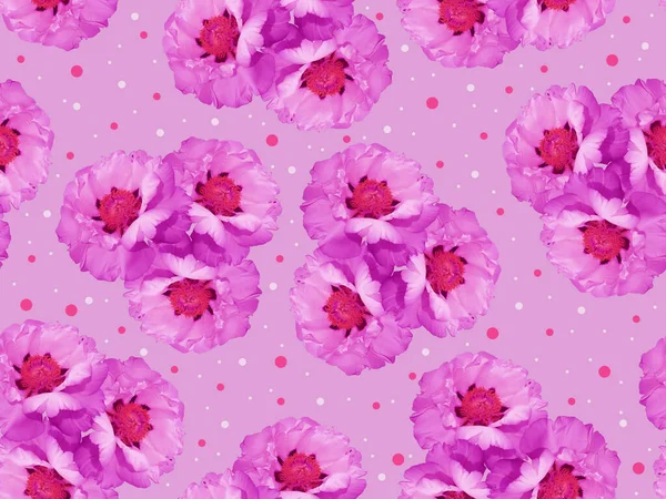 Нежный Цветочный Узор Тонкими Розовыми Пионами — стоковое фото