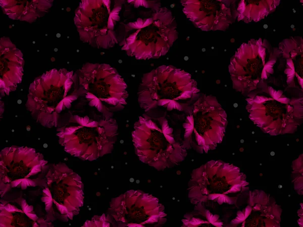 Seamless Dark Floral Pattern Pink Peonies Black Background — Stock Photo, Image