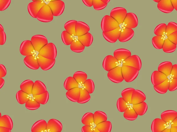 Patrón Sin Costura Floral Flores Rojas Sobre Fondo Gris — Foto de Stock