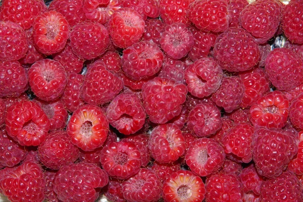 Framboesas Vermelhas Maduras Padrão Sem Emenda Raspberries Padrão Sem Costura — Fotografia de Stock