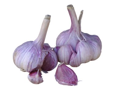 Sarımsak ve dilimleri beyaz bir arka planda izole edilmiş..