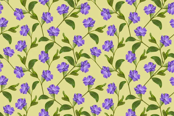 Seamless Floral Pattern Blue Flowers Yellow Background — Stock Photo, Image