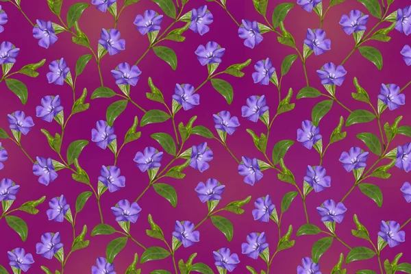 Нежный Цветочный Узор Голубыми Цветами Фиолетовом Фоне — стоковое фото