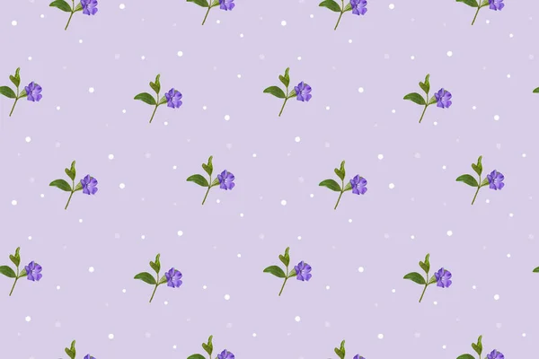 Seamless Floral Pattern Blue Flowers Purple Background — Stock Photo, Image