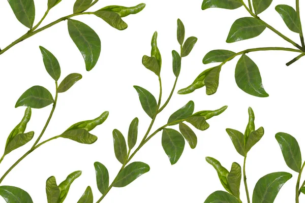 Seamless floral ornament with green foliage on a white background.