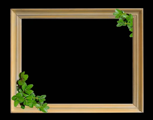 Siyah Arkaplanda Yeşil Yapraklı Beyaz Çerçeve — Stok fotoğraf