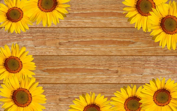 Tahta arka planda sarı ayçiçekleri.
