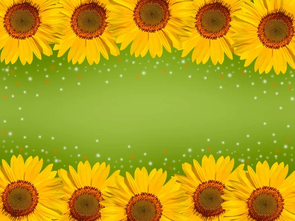 Floraler Rahmen Aus Gelben Sonnenblumen Auf Grünem Hintergrund — Stockfoto