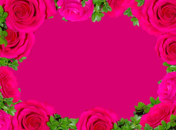 ピンクの背景にバラの花のフレーム — ストック写真