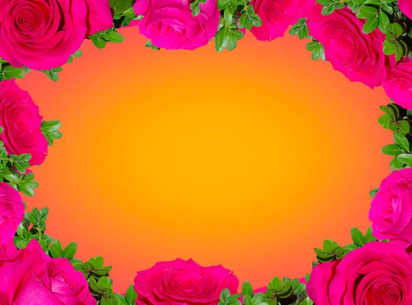 Altın bir arka planda pembe güllerin çiçek çerçevesi.