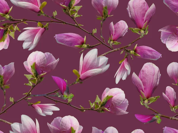 Цветочные Украшения Розовыми Магнолиями — стоковое фото