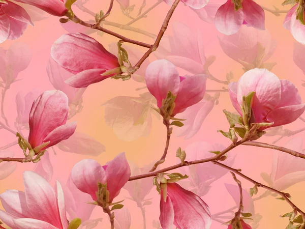 Pembe manolyalarla süslenmiş kusursuz çiçek süsü..