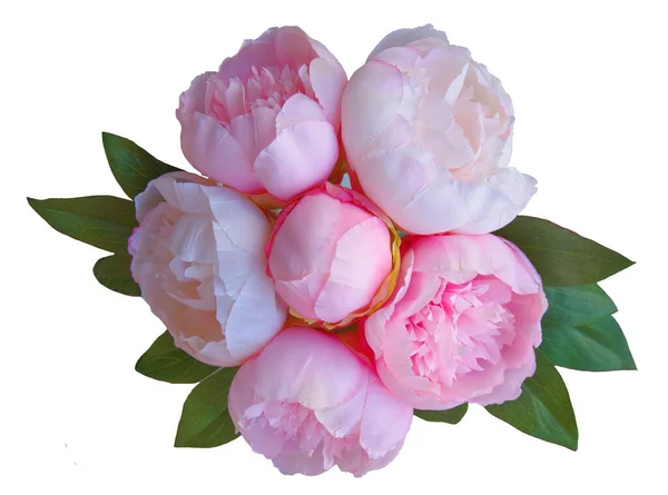 柔らかいピンクの牡丹の花束 — ストック写真