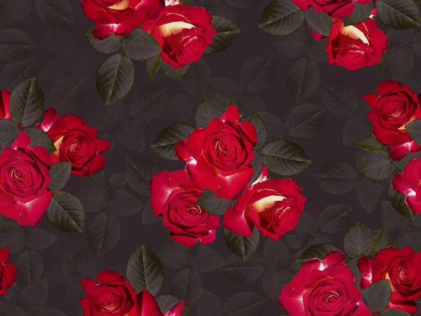 Бесшовный Узор Красными Розами Листьями — стоковое фото