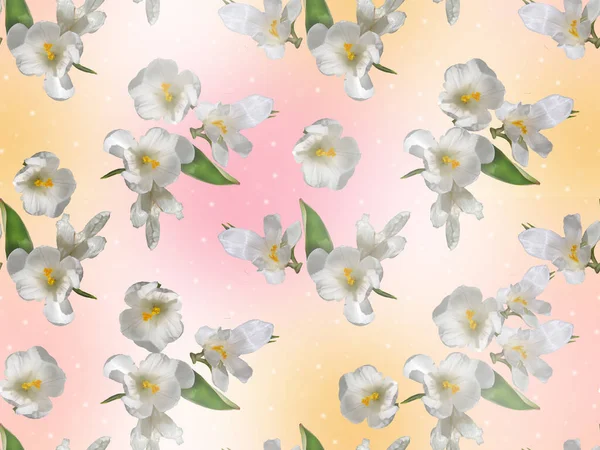 Seamless Pattern White Daffodils Green Foliage Colored Background — Stock Photo, Image