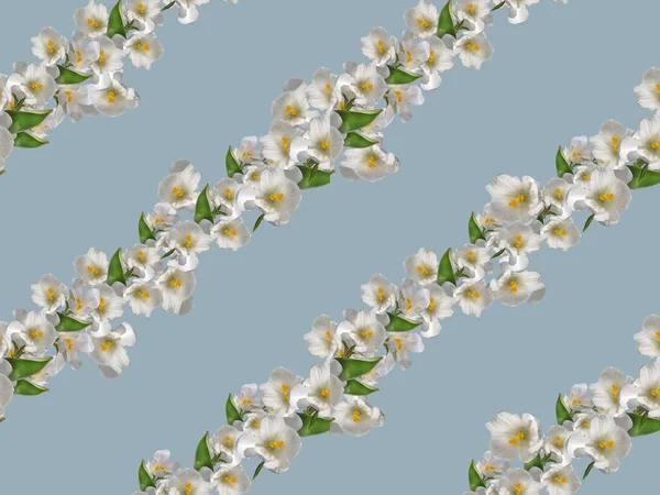 Seamless Pattern White Daffodils Green Foliage Blue Background — Stock Photo, Image