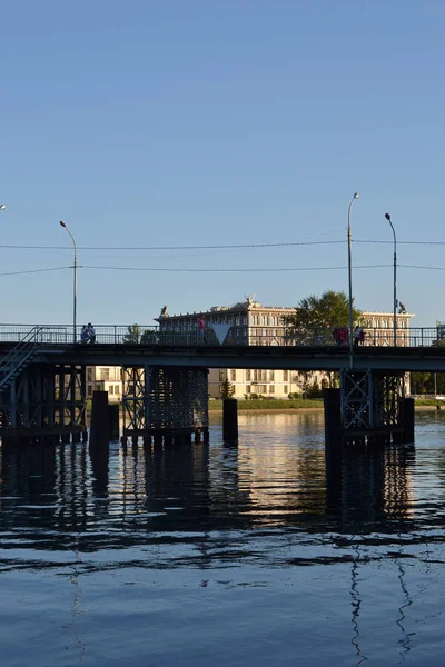 Ponte no parque. — Fotografia de Stock