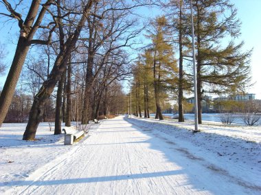 Parkta güzel kış.