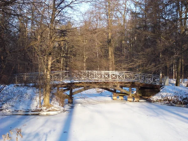 Belo inverno no parque . — Fotografia de Stock