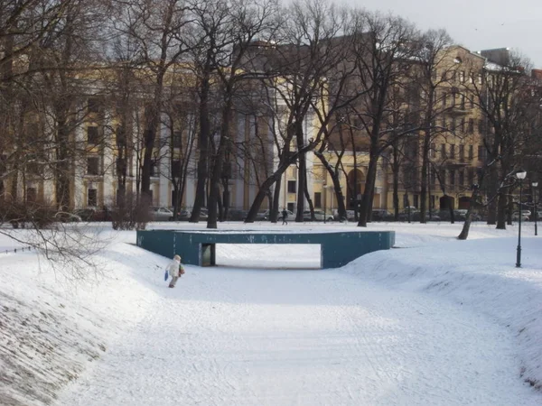 Winter city park. Bridge across the frozen pond. — Stock Photo, Image
