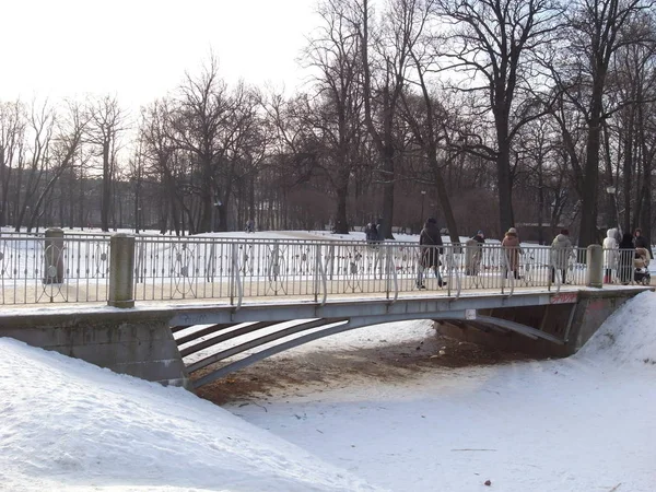 Parque de invierno. Puente sobre el estanque congelado . —  Fotos de Stock