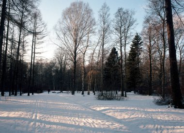 bir kış manzarası. 