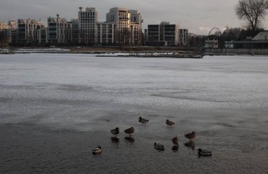 ucks parkta buz üzerinde. Akşam Park.