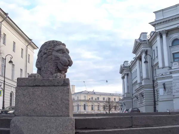 O leão da cidade. Leões de granito de São Petersburgo . — Fotografia de Stock