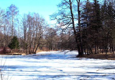 Şehir Parkı erken ilkbaharda.