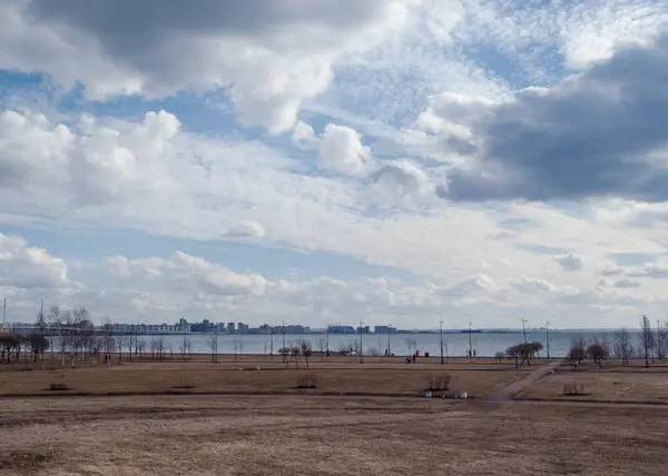 Vroege lente in het park. — Stockfoto