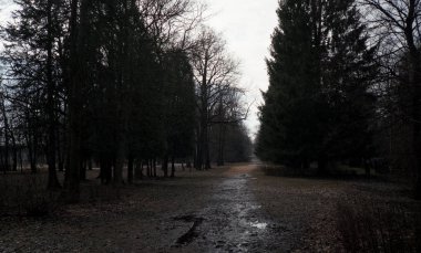 Parkta ilkbahar başları. 