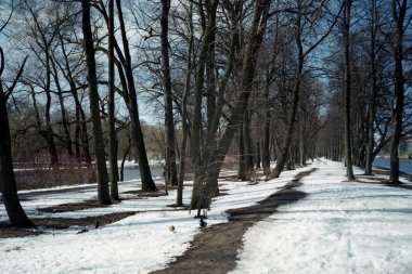 Parkta ilkbahar başları.