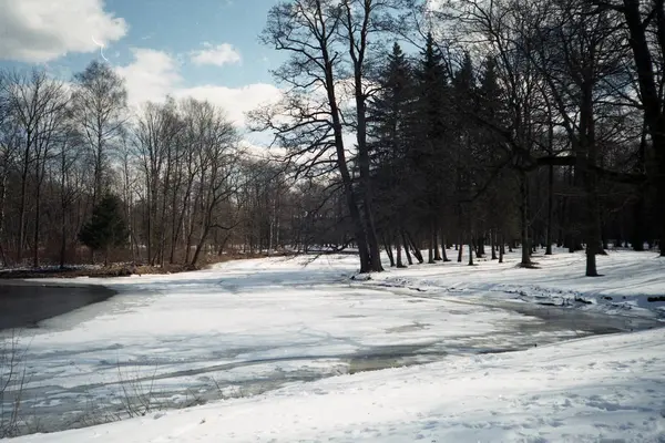 Kora tavasz a parkban — Stock Fotó