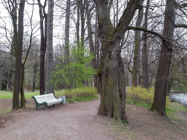 Odpoczynek w parku. — Zdjęcie stockowe