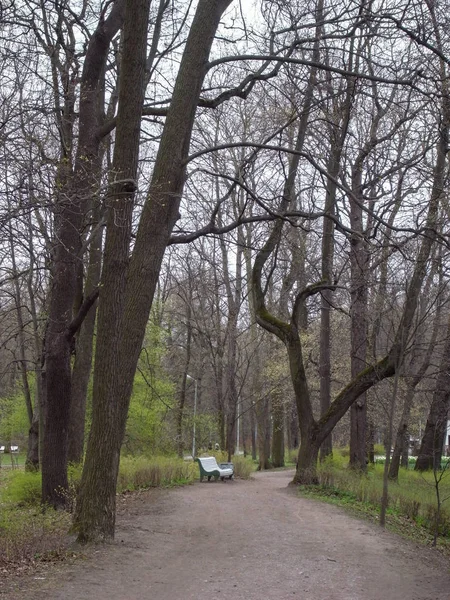 Odpoczynek w parku. — Zdjęcie stockowe