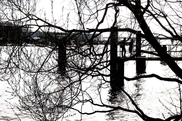 Buonasera al parco. Paesaggio contrastante, conversazione . — Foto Stock